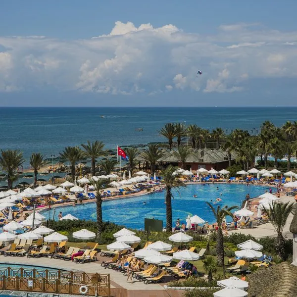 Papillon Belvil Club - zdjęcie 4