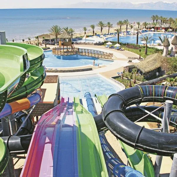 Papillon Belvil Club - zdjęcie 3