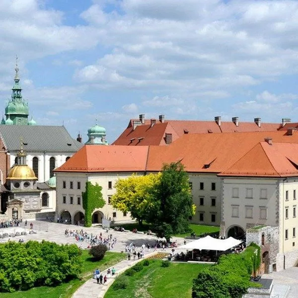 Daisy Superior - zdjęcie 4