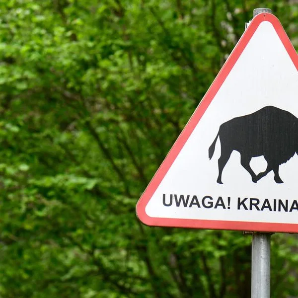 Mercure Bialystok - zdjęcie 2