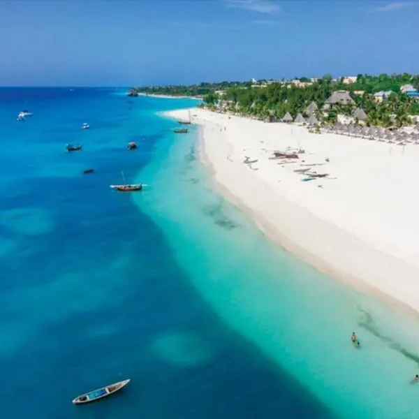 Maru Maru - zdjęcie 5