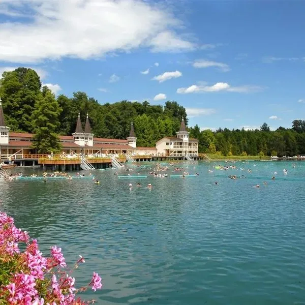 Europa Fit - zdjęcie 3