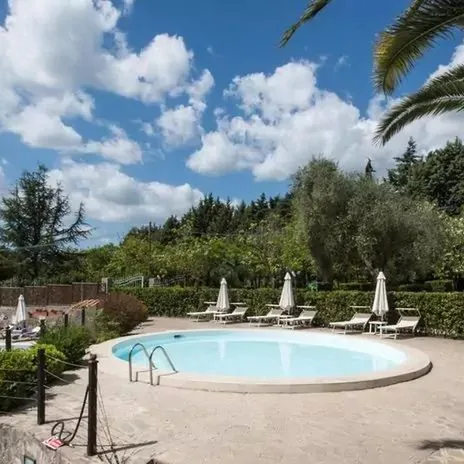 Happy Village - zdjęcie 5