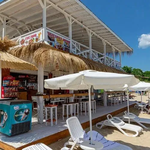 Elvira (Rawda) - zdjęcie 3