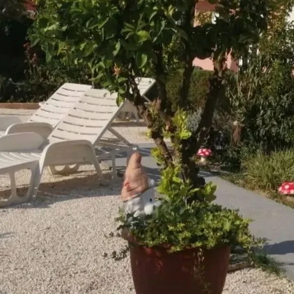 Villa Luketa - zdjęcie 5