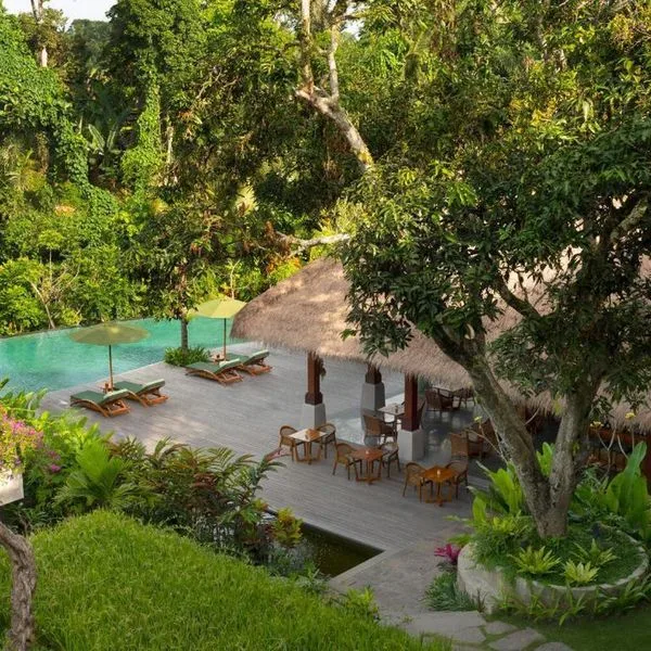 Adiwana Suweta - zdjęcie 4