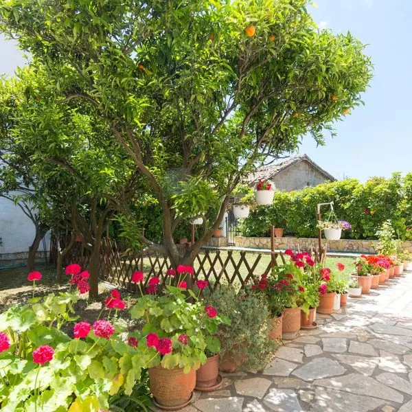 Roys Blu - zdjęcie 5