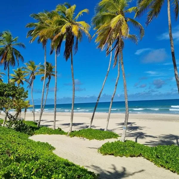 Hesperia (Playa El Agua) - zdjęcie 4