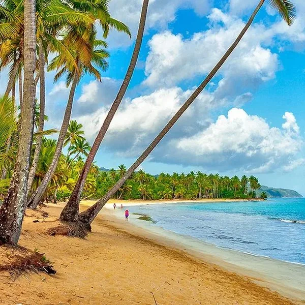 Viva Wyndham V Samana - zdjęcie 4