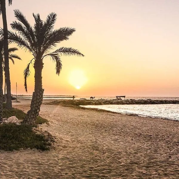 Djerba Castille - zdjęcie 4