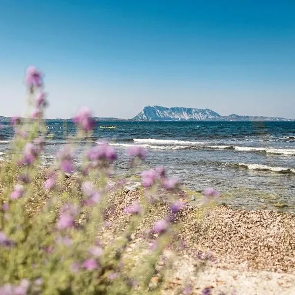 TH Liscia Eldi Village - zdjęcie 4