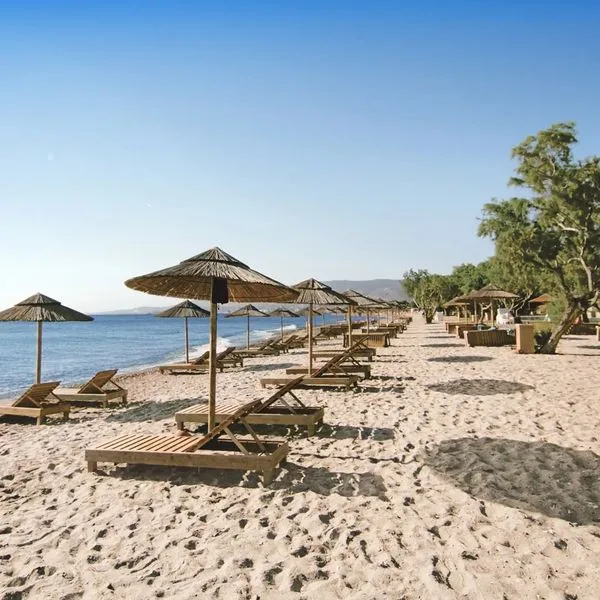 Atlantis (Lambi) - zdjęcie 4