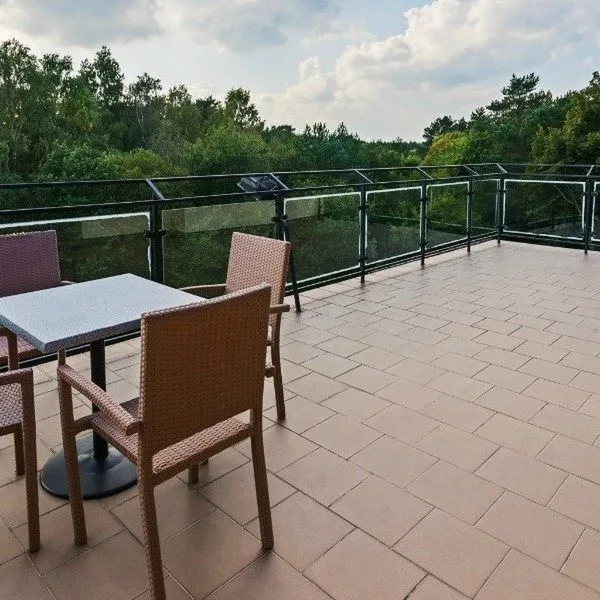 Okulski Grand Rozewie - zdjęcie 4