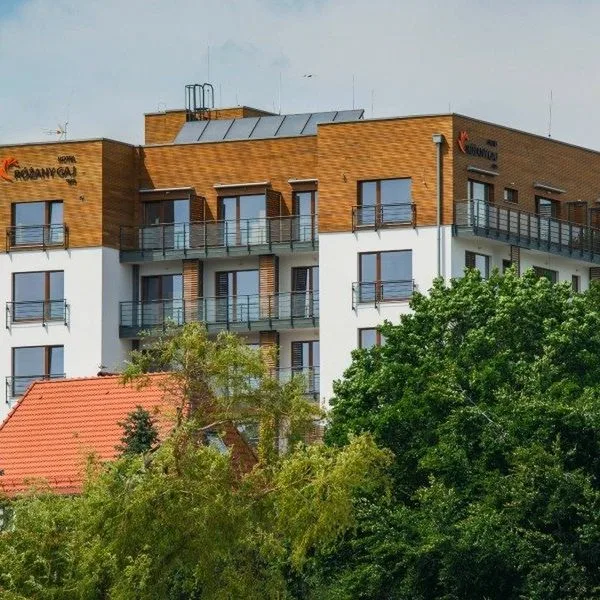 Różany Gaj - zdjęcie 3