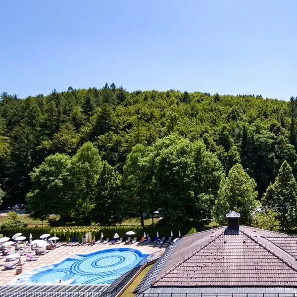 Thermenhotel Smarjeske Toplice - zdjęcie 3