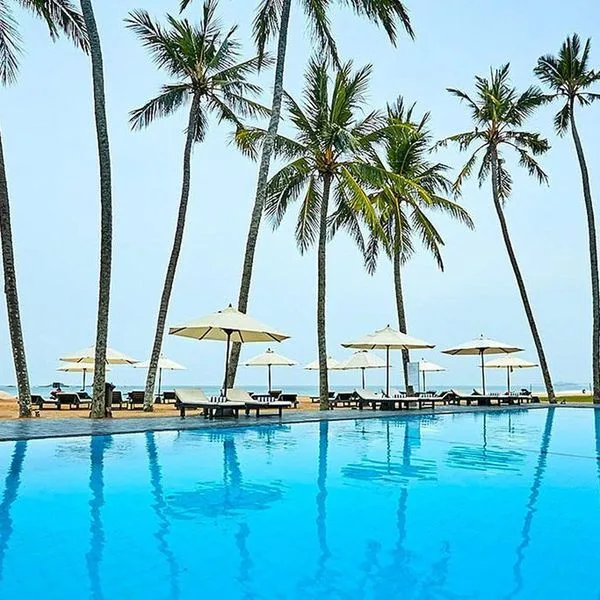 EKHO Surf - zdjęcie 2