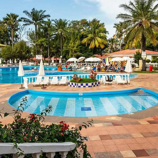 smartline Palma Rima - zdjęcie 3