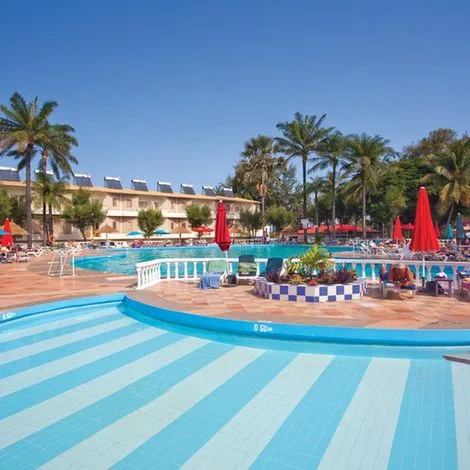 smartline Palma Rima - zdjęcie 4