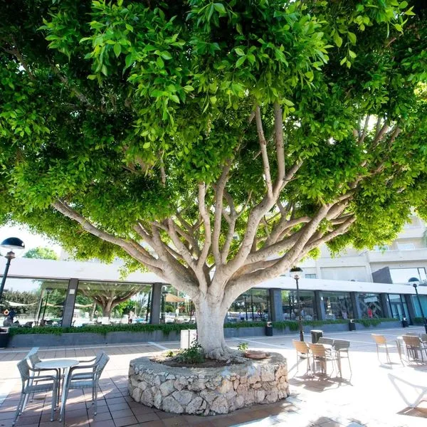 Club Cala Romani - zdjęcie 4