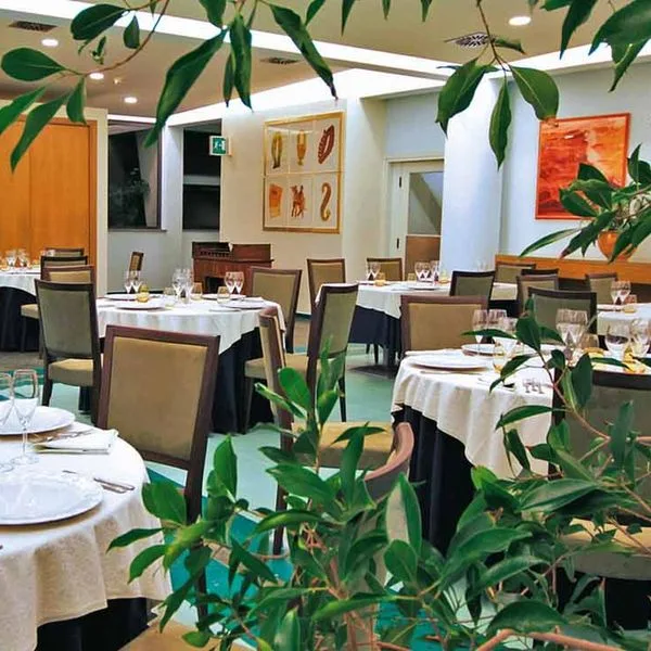 Rada Siri - zdjęcie 4