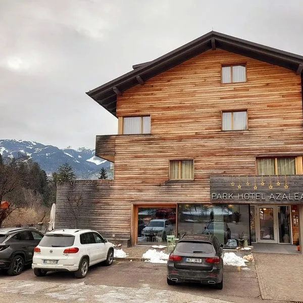 Eco Park Azalea (Cavalese)