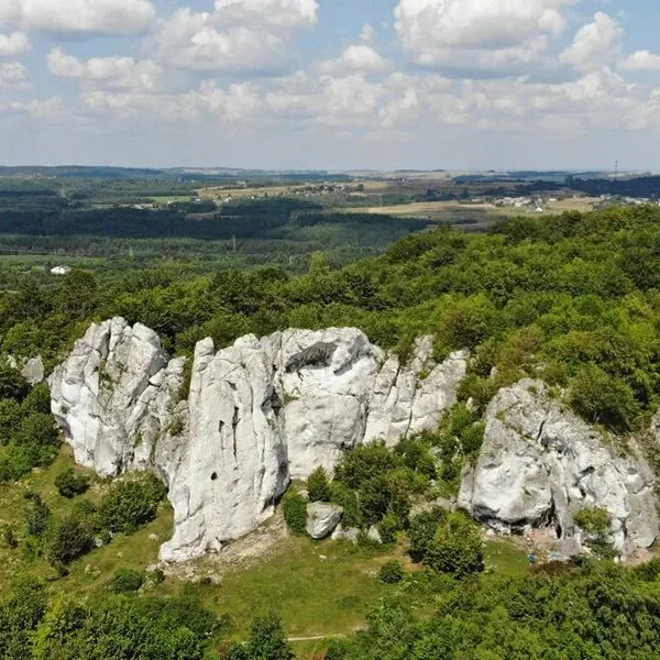 Centuria - zdjęcie 5