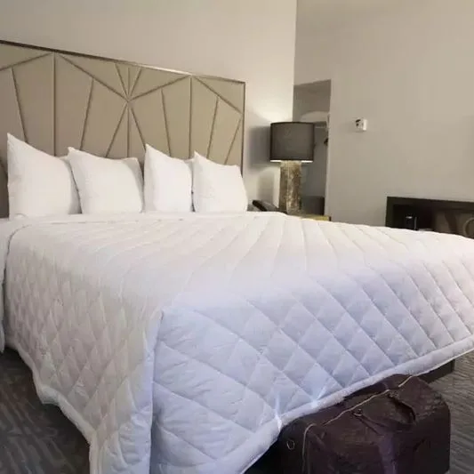 Martinique New York on Broadway, Curio Collection by Hilton (ex Radisson Martinique on Broadway) - zdjęcie 3