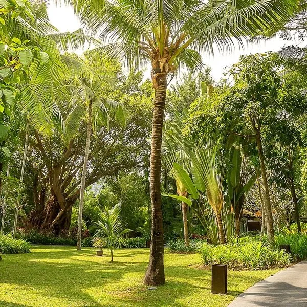 Sea Sand Sun Resort & Spa - zdjęcie 4