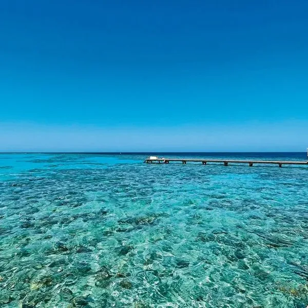 The Breakers Diving & Surfing Lodge - zdjęcie 4