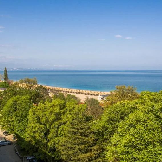 Gladiola - zdjęcie 3