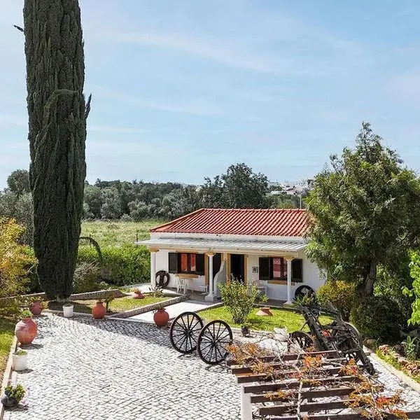 Muthu Balaia Sol - zdjęcie 2