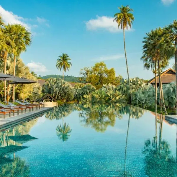 Indigo Pearl - zdjęcie 4