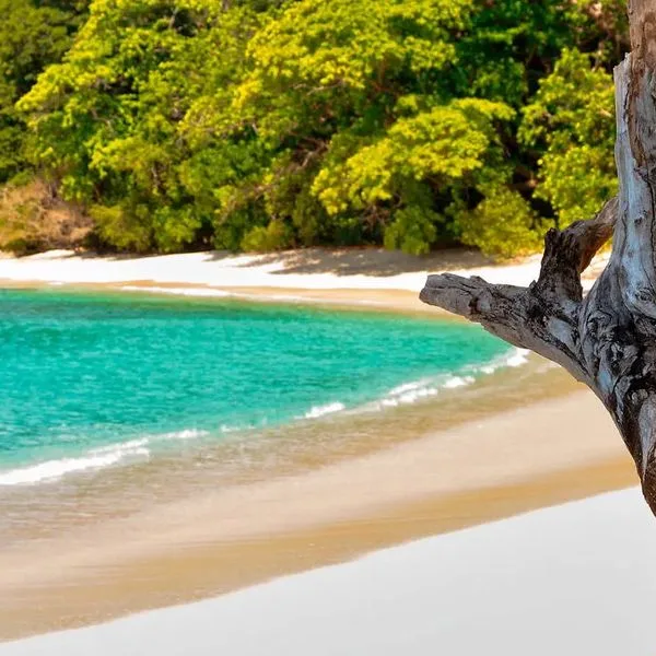 Barefoot at Havelock - zdjęcie 3