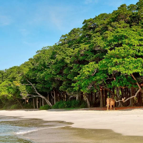 Barefoot at Havelock - zdjęcie 5