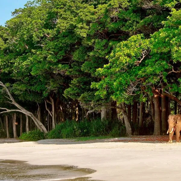 Barefoot at Havelock - zdjęcie 5