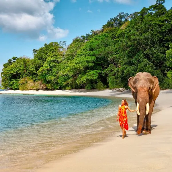 Barefoot at Havelock - zdjęcie 4