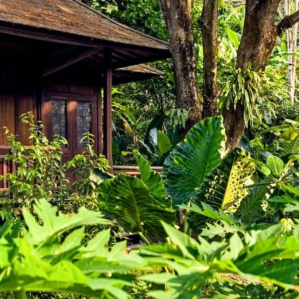 Barefoot at Havelock