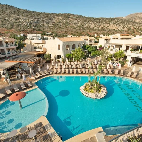 Cactus Royal - zdjęcie 3