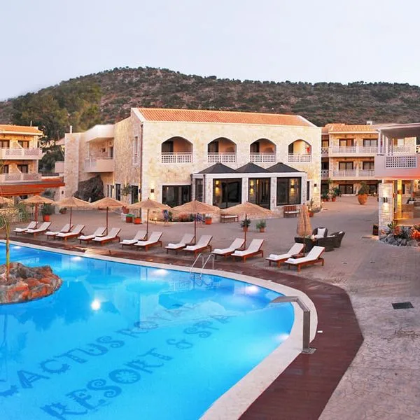 Cactus Royal - zdjęcie 4