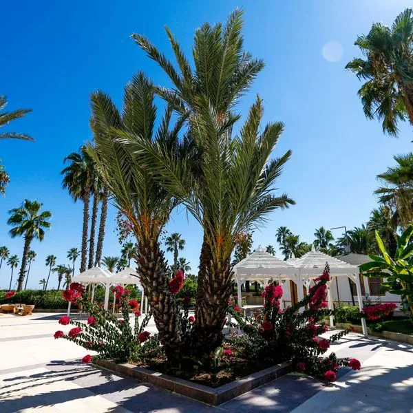 Adora Hotel & Resort (ex. Adora Golf) - zdjęcie 2