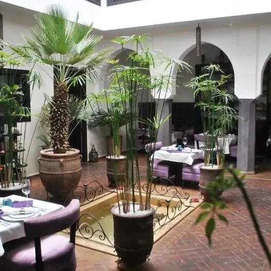 Ryad Amiran - zdjęcie 2