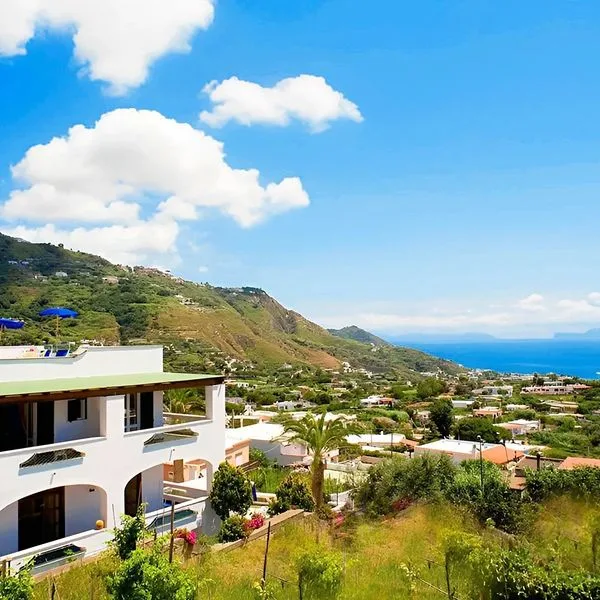 Al Bosco - zdjęcie 2