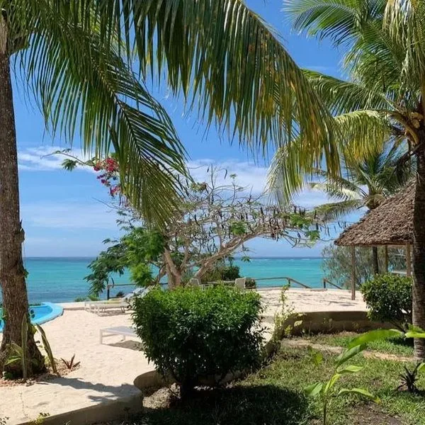 Shooting Star Boutique