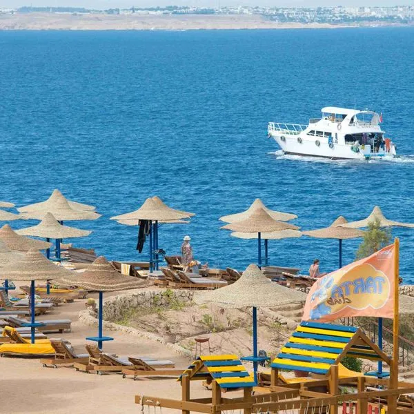 Amphoras Blu - zdjęcie 3