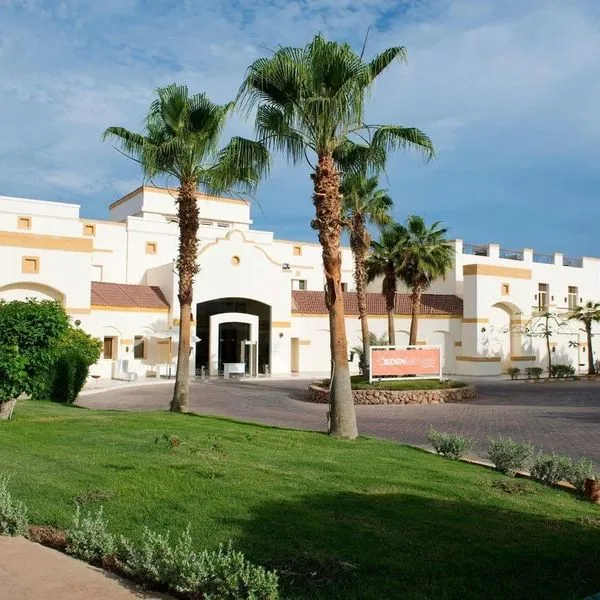 Amphoras Blu - zdjęcie 5