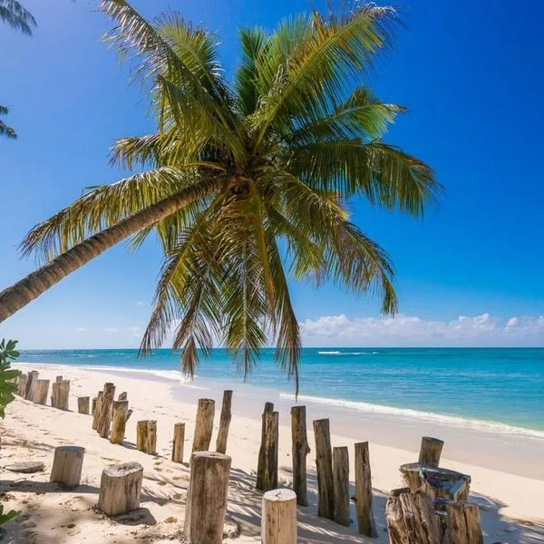 Denis Private Island - zdjęcie 4