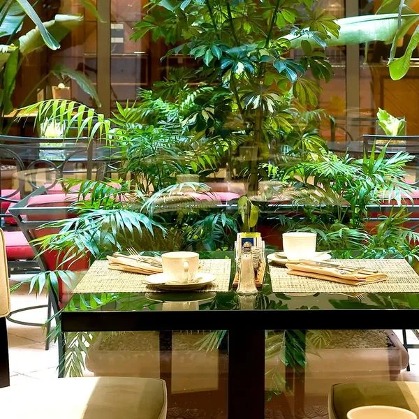 Dei Mellini - zdjęcie 2