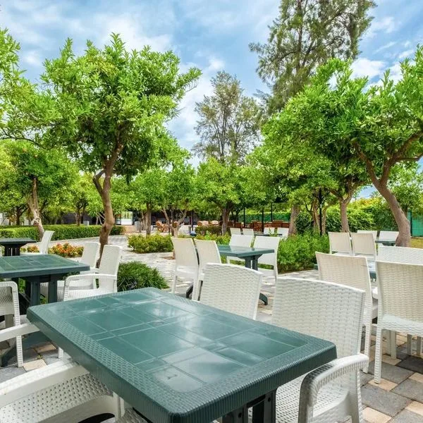 The Nix - zdjęcie 2