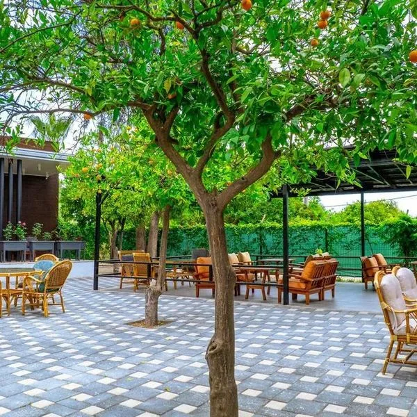 The Nix - zdjęcie 5