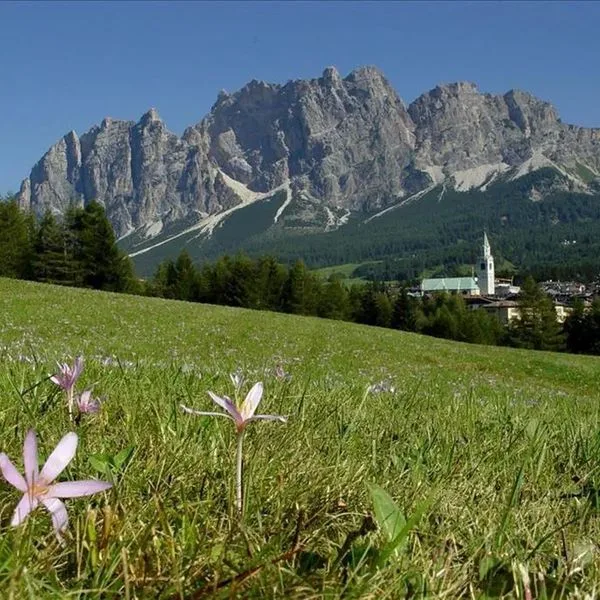 Villa Argentina - zdjęcie 3